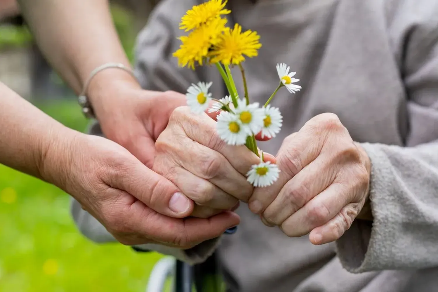 Curano Alltagsbegleitung - Gesundheitsdienst - Altenpflege - Hände, Blumenstrauß